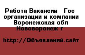 Работа Вакансии - Гос. организации и компании. Воронежская обл.,Нововоронеж г.